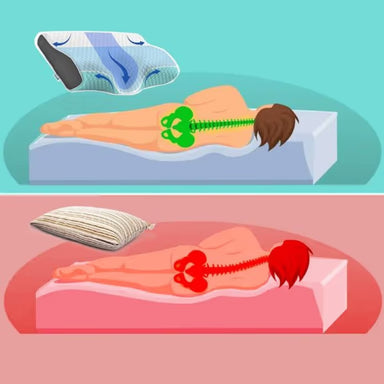 Desenho mostrando como fica a coluna utilizando o Travesseiro Ortopédico ErgoMaster 4D.